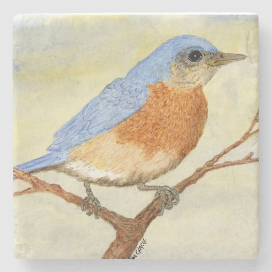 Dessous-de-verre En Pierre Dessous de verre Bluebird 1 (Devant)