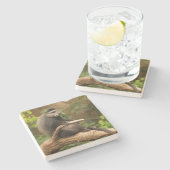 Dessous-de-verre En Pierre Dessous de verre Carré singe (Côté)