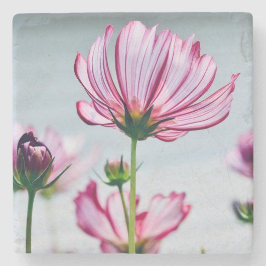 Dessous-de-verre En Pierre Dessous de verre Cosmos en marbre (Devant)