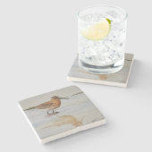 Dessous-de-verre En Pierre Dessous de verre de bécasseau de courlis cendré (Côté)