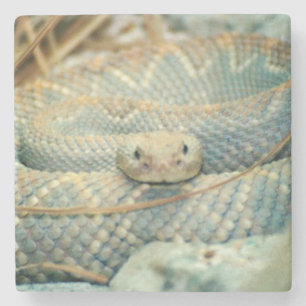 Dessous-de-verre En Pierre Dessous de verre de boisson de crotlesnake