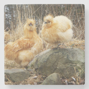 Dessous-de-verre En Pierre Dessous de verre de couleur chamois de poulets de
