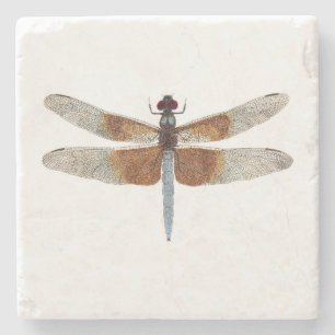 Dessous-de-verre En Pierre Dessous de verre de libellule d'écumoire de veuve