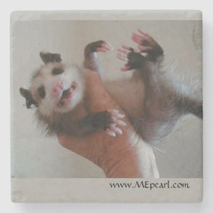 Dessous-de-verre En Pierre Dessous de verre de marbre avec l'opossum