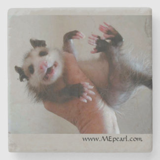 Dessous-de-verre En Pierre Dessous de verre de marbre avec l'opossum