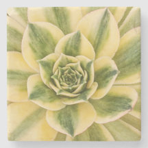 Dessous de verre de marbre de Succulishus