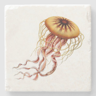 Dessous-de-verre En Pierre Dessous de verre de méduses de Haeckel