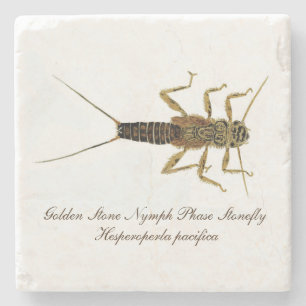 Dessous-de-verre En Pierre Dessous de verre de nymphe de Stonefly