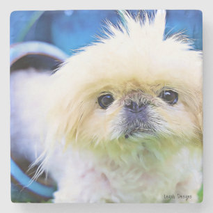 Dessous-de-verre En Pierre Dessous de verre de pierre Pekingese Marcus !