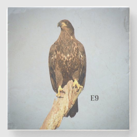 Dessous-de-verre En Pierre Dessous de verre E9 en pierre (Devant)