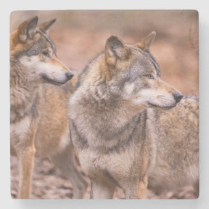 Dessous-de-verre En Pierre Dessous de verre en marbre-Loups