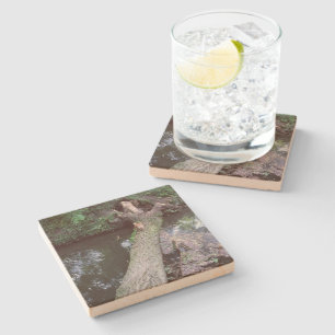 Dessous-de-verre En Pierre Dessous de verre en pierre avec images carrés