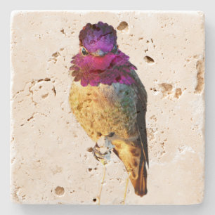 Dessous-de-verre En Pierre Dessous de verre en pierre avec photo de colibri r