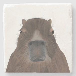 Dessous-de-verre En Pierre Dessous de verre en pierre de Capybara