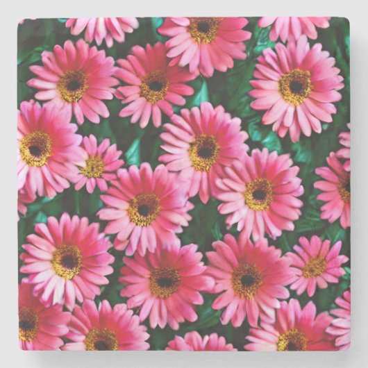 Dessous-de-verre En Pierre Dessous de verre en pierre de Gerbera Daisy (Devant)