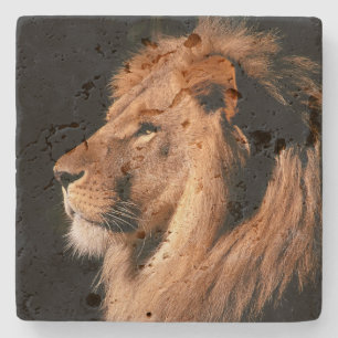 Dessous-de-verre En Pierre Dessous de verre en pierre de Lion
