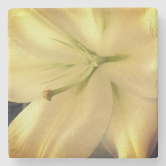 Dessous-de-verre En Pierre Dessous de verre en pierre de marbre blanc Lillum (Devant)