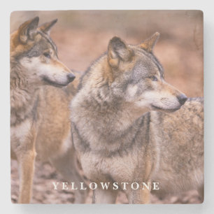 Dessous-de-verre En Pierre Dessous de verre en pierre de marbre-loups de Yell