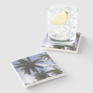 Dessous-de-verre En Pierre Dessous de verre en pierre de palmiers