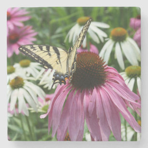Dessous-de-verre En Pierre Dessous de verre en pierre de Tiger Swallowtail Bu