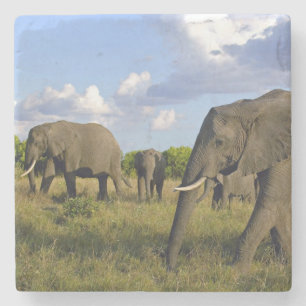 Dessous-de-verre En Pierre Dessous de verre en pierre d'éléphant