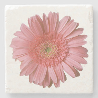 Dessous-de-verre En Pierre Dessous de verre en pierre rose Gerber Daisy