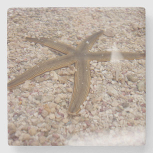 Dessous-de-verre En Pierre Dessous de verre en pierre Starfish