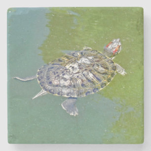 Dessous-de-verre En Pierre Dessous de verre EN Pierre TURTLE