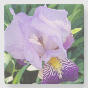 Dessous-de-verre En Pierre Dessous de verre en pierre violet Iris