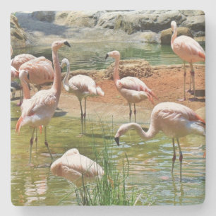 Dessous-de-verre En Pierre Dessous de verre Flamants roses roses