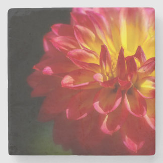 Dessous-de-verre En Pierre Dessous de verre Fleur unique