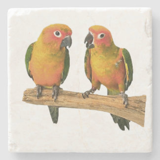 Dessous-de-verre En Pierre Dessous de verre mignons de Conure