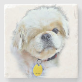 Dessous-de-verre En Pierre Dessous de verre Pierre de Peter Rottentail (Devant)