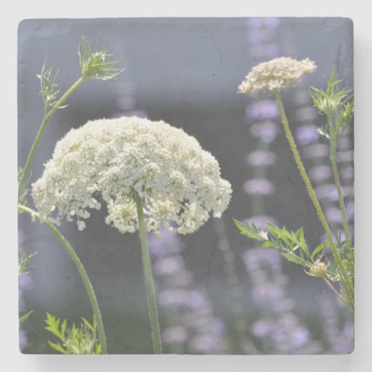 Dessous-de-verre En Pierre Dessous de verre Queen Anne (Devant)