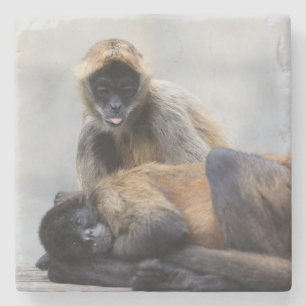 Dessous-de-verre En Pierre Dessous de verre singe