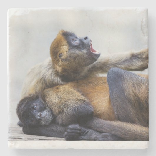 Dessous-de-verre En Pierre Dessous de verre singe (Devant)