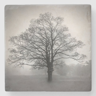 Dessous-de-verre En Pierre Dessous de verre solitaires de pierre d'arbre
