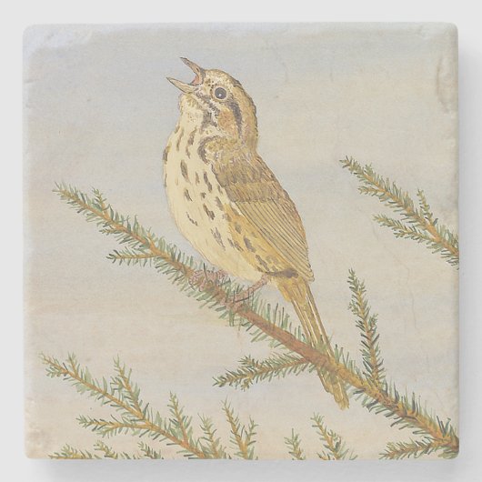 Dessous-de-verre En Pierre Dessous de verre Song Sparrow (Devant)
