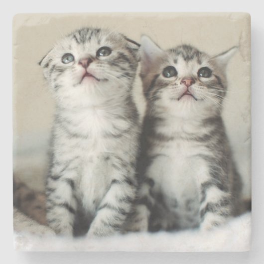 Dessous-de-verre En Pierre Deux chatons mignons (Devant)