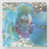 Dessous-de-verre En Pierre Donella (Devant)