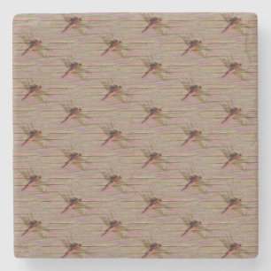 Dessous-de-verre En Pierre Dragonfly