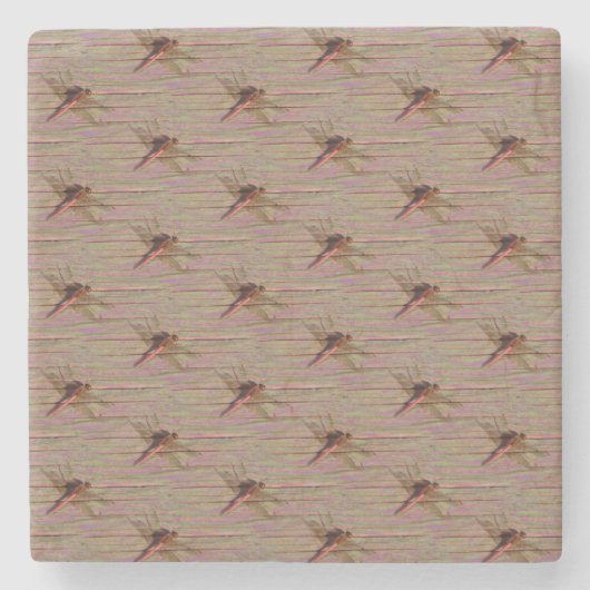 Dessous-de-verre En Pierre Dragonfly (Devant)