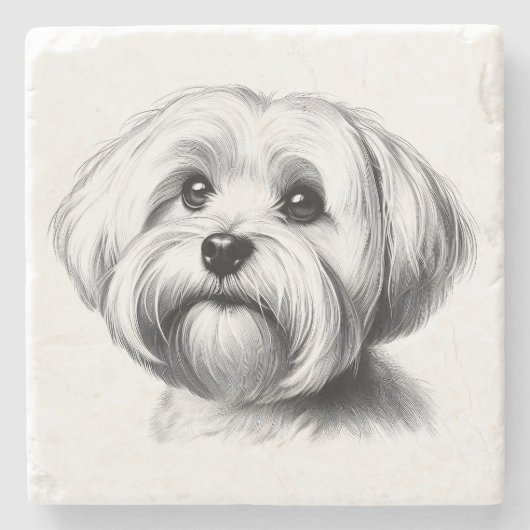 Dessous-de-verre En Pierre Drawing maltese (Devant)