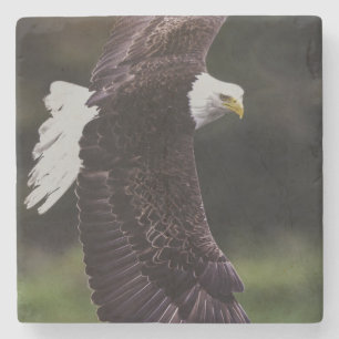 Dessous-de-verre En Pierre Eagle en vol
