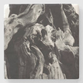 Dessous-de-verre En Pierre Écorce d'arbre noir et blanc (Devant)