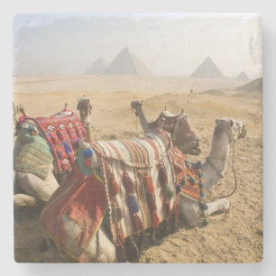 Dessous-de-verre En Pierre Égypte, Le Caire. Chameaux au repos