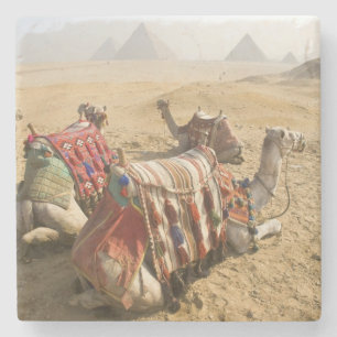 Dessous-de-verre En Pierre Égypte, Le Caire. Chameaux au repos