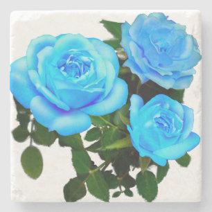 Dessous-de-verre En Pierre Élégantes roses bleu sarcelle fleurs bleues floral