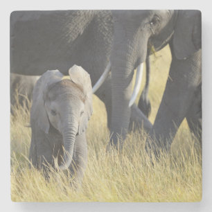 Dessous-de-verre En Pierre Éléphant de bébé