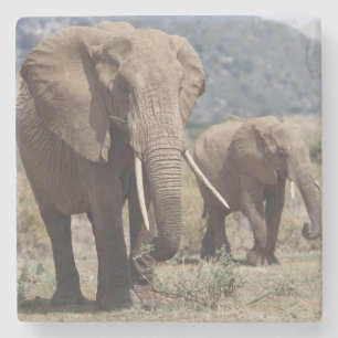 Dessous-de-verre En Pierre Éléphant mère marchant avec un éléphant jeune